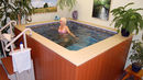 Basen terapeutyczno-treningowy Endless Pools Waterwell
