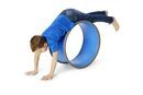 Gonge Body Wheels duża obręcz beczka do ćwiczeń
