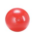 gymnic-plus-pilka-do-cwiczen-abs
